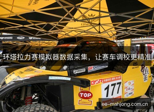 环塔拉力赛模拟器数据采集，让赛车调校更精准