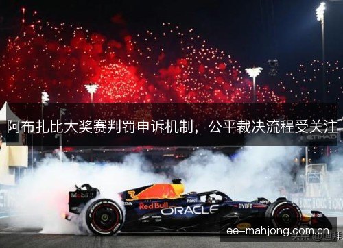 阿布扎比大奖赛判罚申诉机制，公平裁决流程受关注