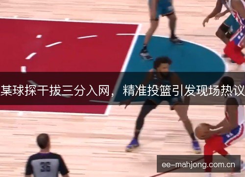 某球探干拔三分入网，精准投篮引发现场热议