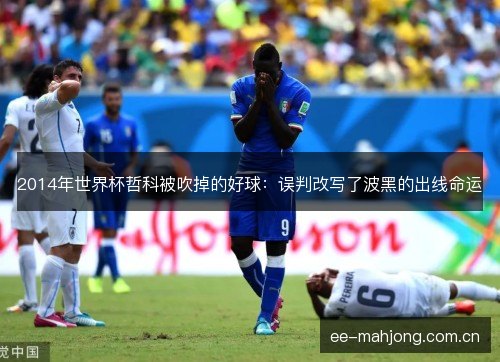 2014年世界杯哲科被吹掉的好球:误判改写了波黑的出线命运 2014年世界杯哲科被吹掉的好球:误判改写了波黑的出线命运